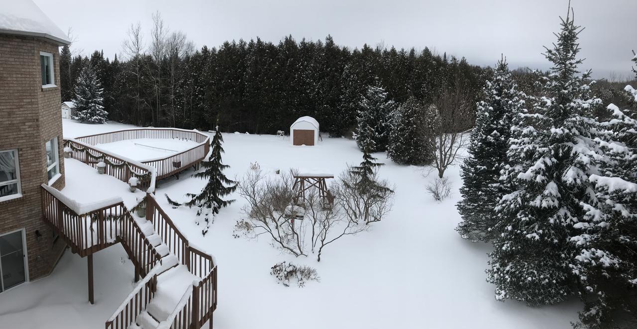 Molly'S Retreat B And B Orangeville Exterior photo